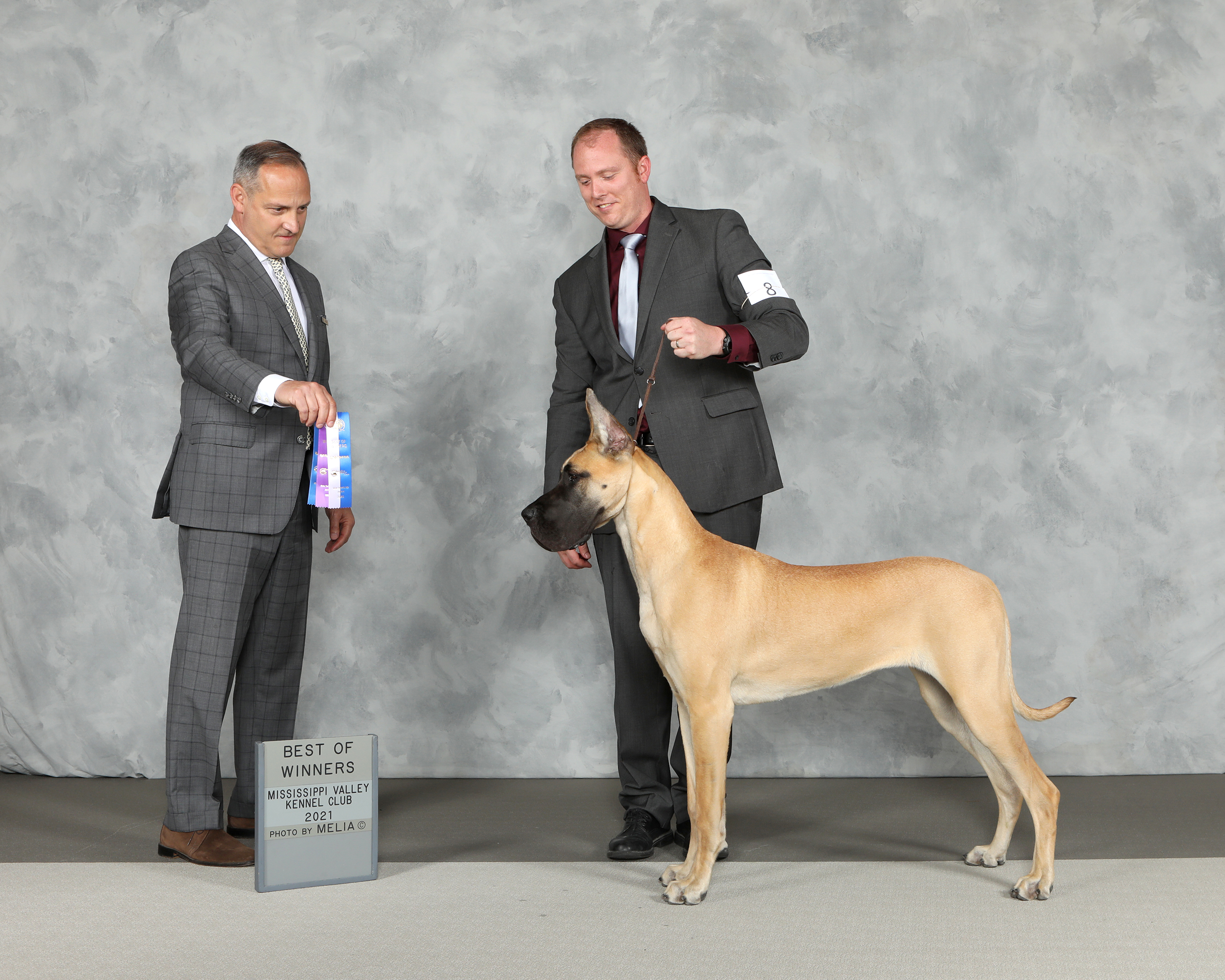 2021 1pt Best of Winners - Purina St. Louis - First BOW