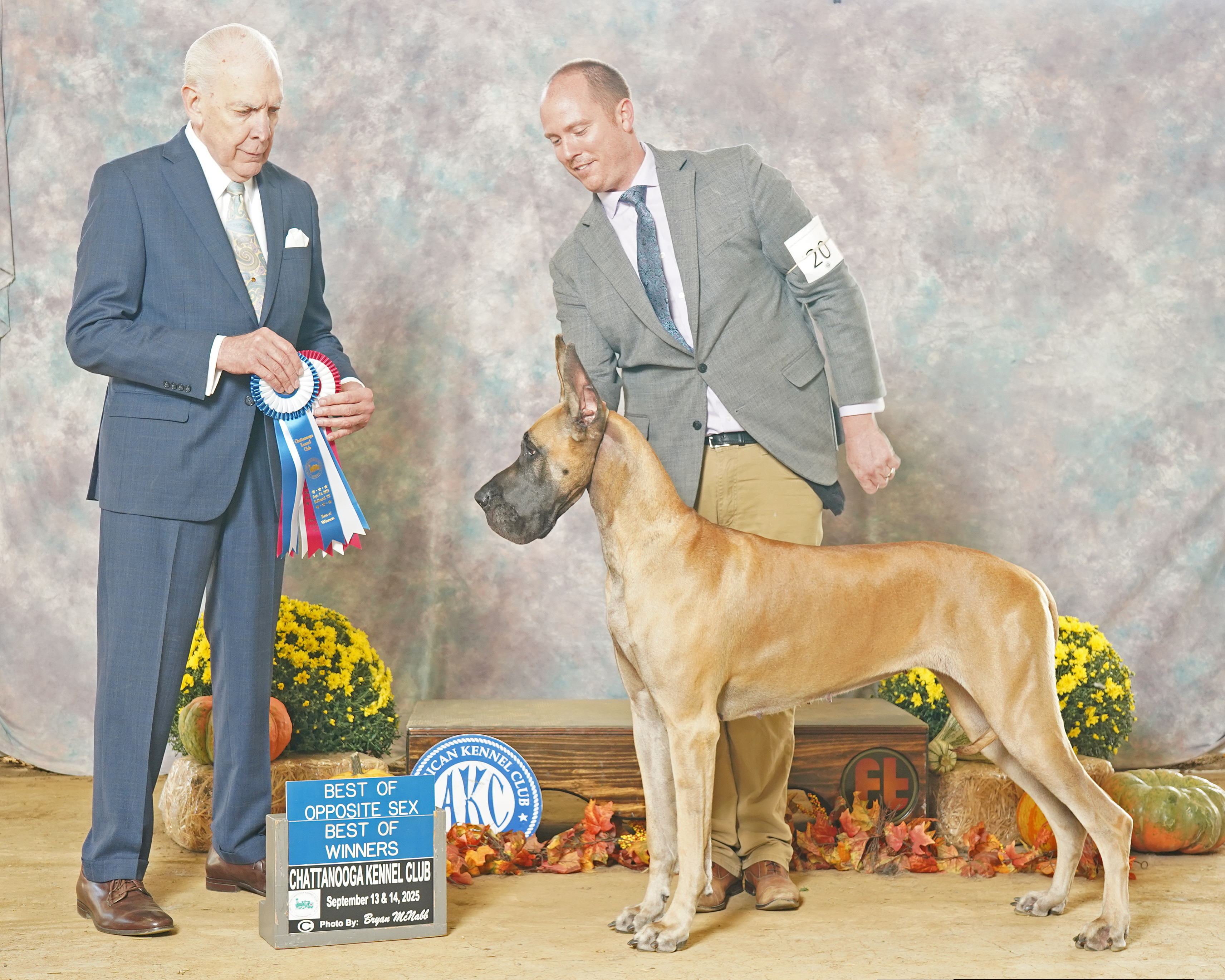 2025 2pt Best of Opposite Sex, Best of Winners, Winner's Bitch - MidTN GDC